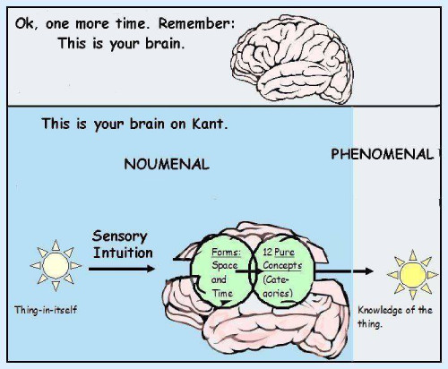 your brain on Kant
