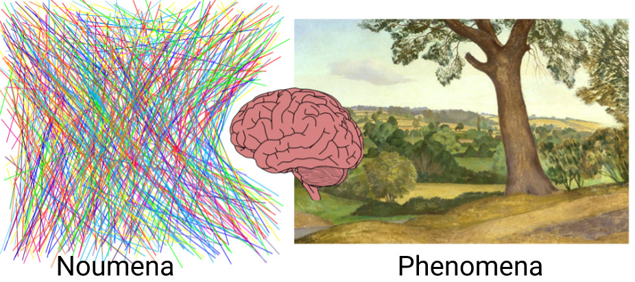 the world in terms of the noumena and the phenomena