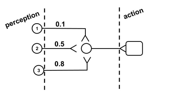 Fig. 5. We specify the weights in the neural circuit.