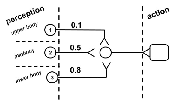 Fig. 6. Perception neurons are placed along the organism’s body.
