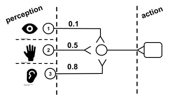 Fig. 7. Information coming to our interneuron can come from different modalities