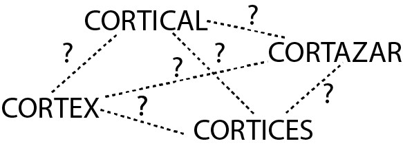 finding relationships