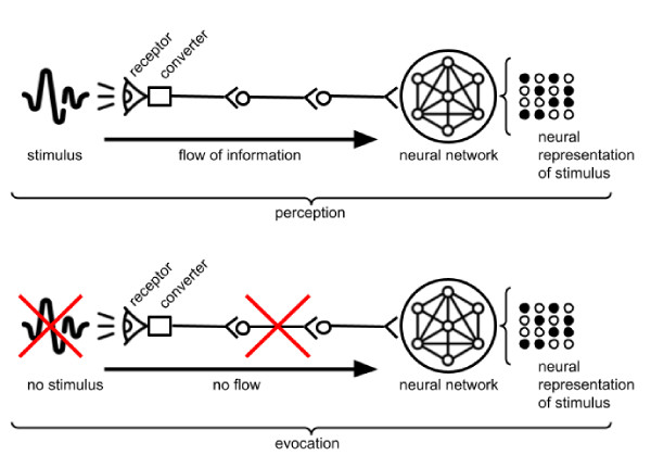 evocation vs perception