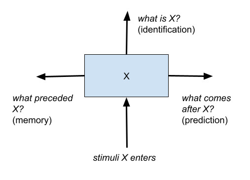 what happens when an stimulus enters