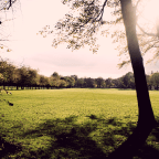 The Brain, the language machine