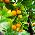 On Supervised Learning