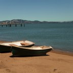 The Brain and the Signal