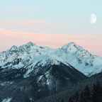 Reason, Intelligence and Understanding